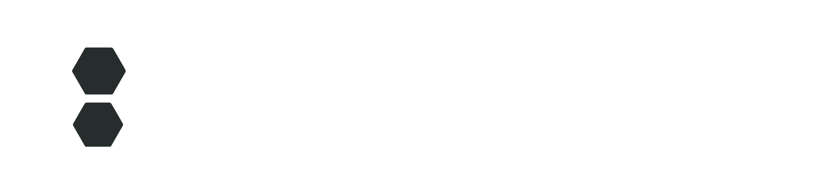 Pleincore Logo weiss